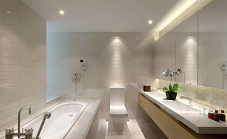 衛(wèi)生間玻璃隔斷門安裝注意事項(xiàng)